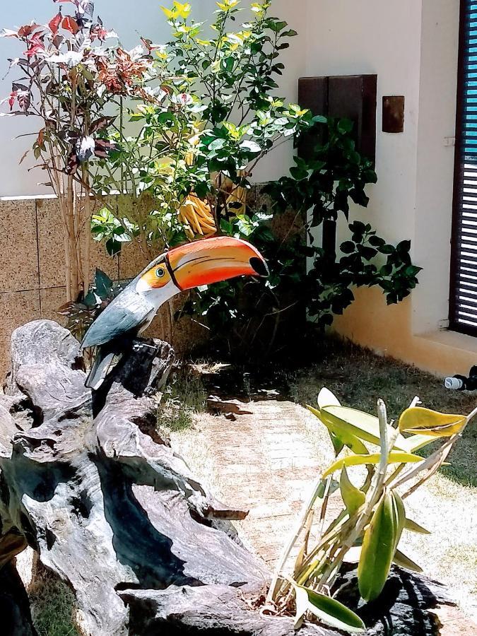 Pousada Deus E Fiel Cachoeira Paulista Eksteriør billede